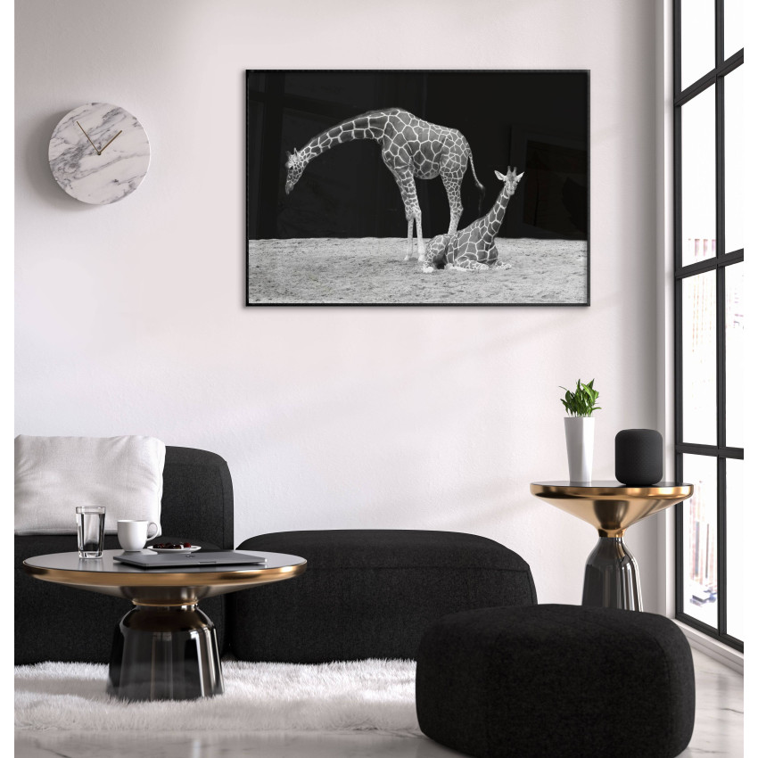 Giraffe - Black and White Poster