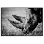 Rhino - Black and White Poster