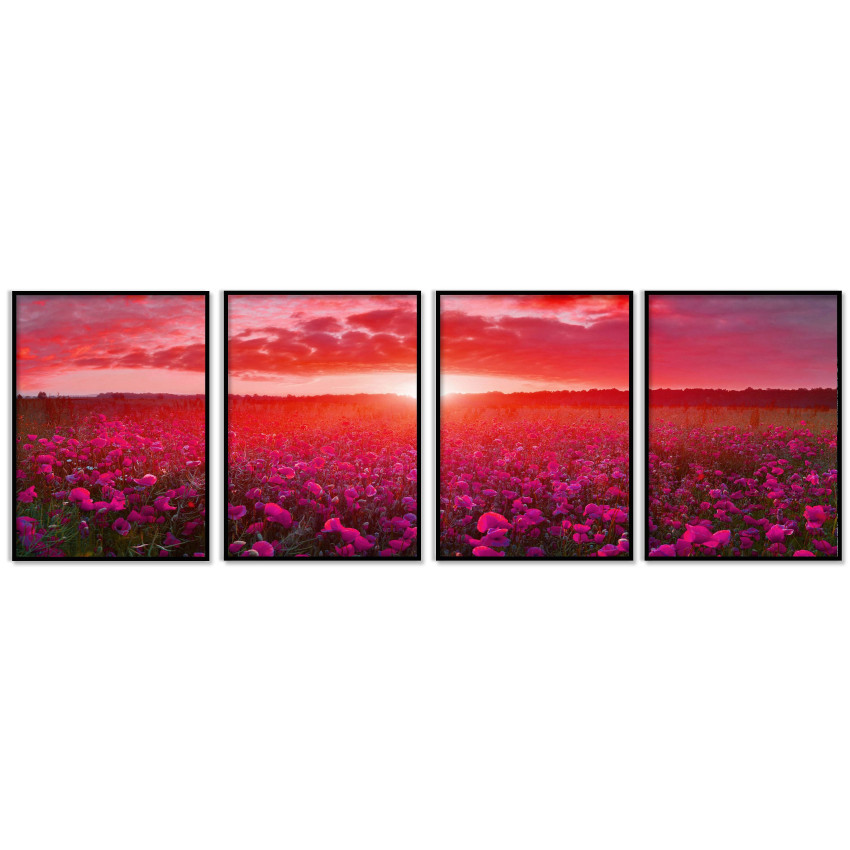 Panorama Nature Poster - Four Piece Poster