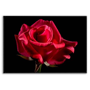 Red Rose & Black Background - Simple Poster