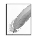Simple Feather - Black and white poster