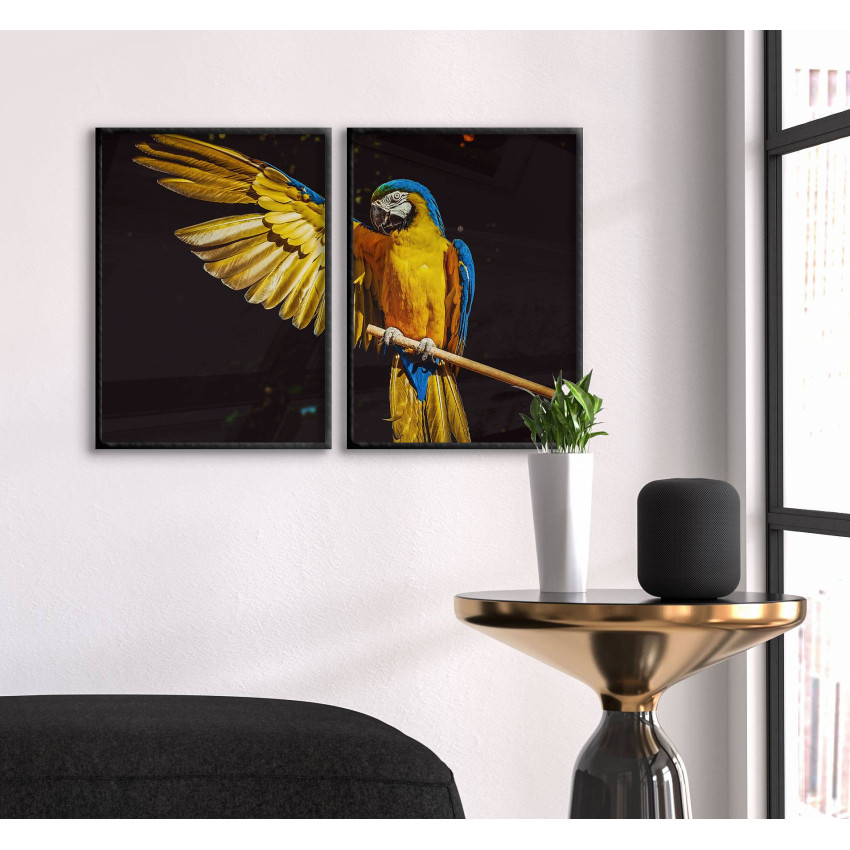 Cool Parrot - Poster in Two Pieces