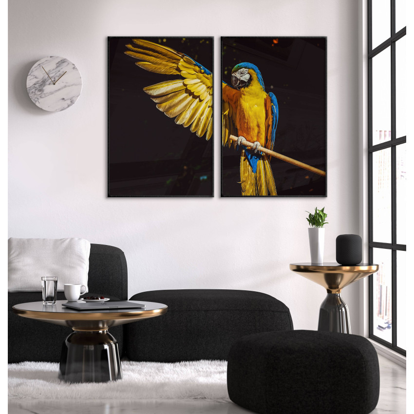 Cool Parrot - Poster in Two Pieces