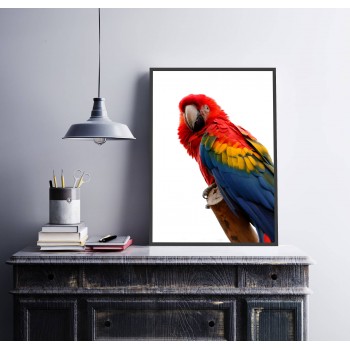 Parrot - Colorful Poster