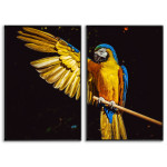 Cool Parrot - Poster in Two Pieces