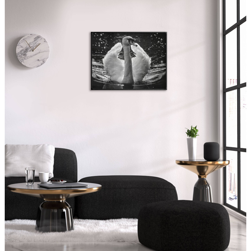 Beautiful Swan - Poster