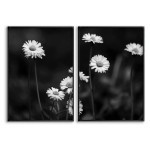 White Flowers Daisy - Poster in Two Pieces
