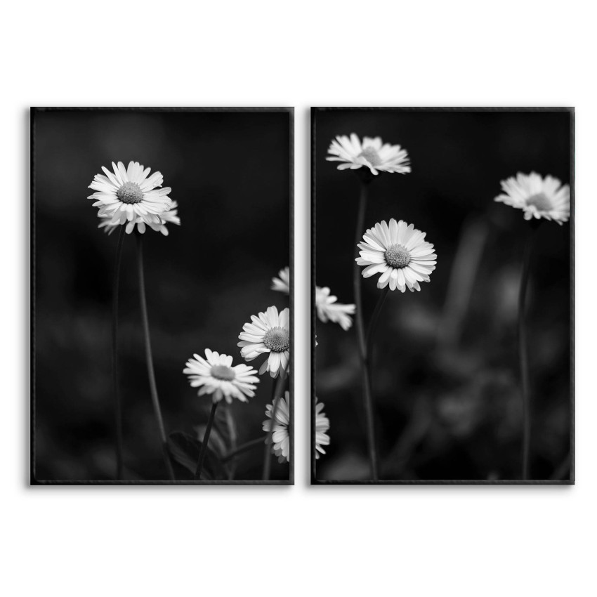White Flowers Daisy - Poster in Two Pieces