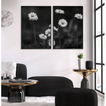 Vita blommor tusensköna - Svartvit poster i två delar
