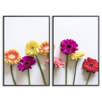 Enkla blommor - Tvådelat tavelset med vit bakgrund Enkla blommor - Tvådelat tavelset med vit bakgrund