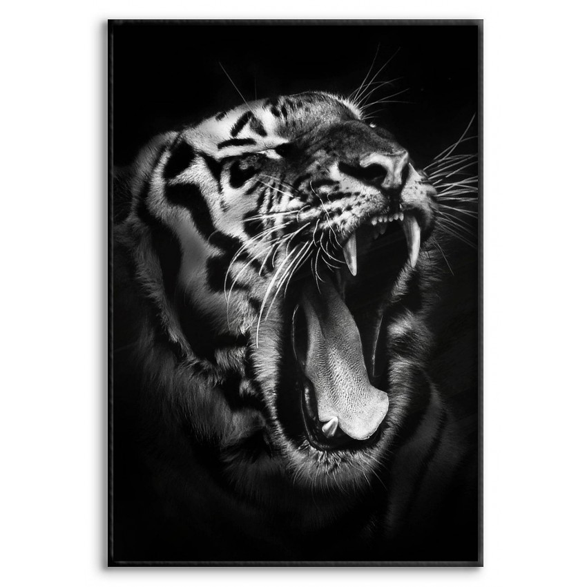 Tiger Ryter - Svartvit Poster med Svart Bakgrund