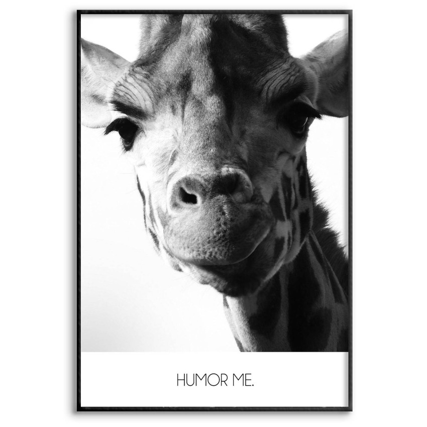 Girafe & Humor Me - Black and White Poster