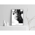 Girafe & Humor Me - Black and White Poster