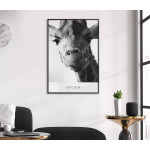 Girafe & Humor Me - Black and White Poster
