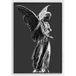 Beautiful Angel - Black and White Poster