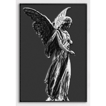 Beautiful Angel - Black and White Poster