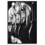 Classical Violin - Black and White Poster