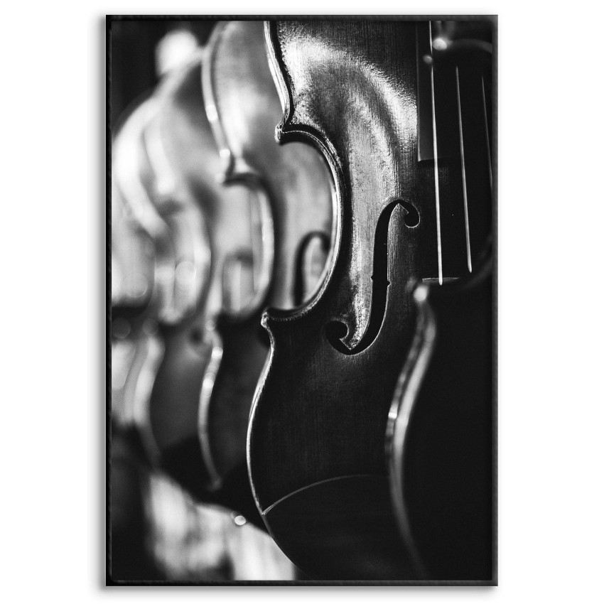 Classical Violin - Black and White Poster
