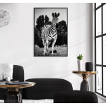 Zebra Running - Poster