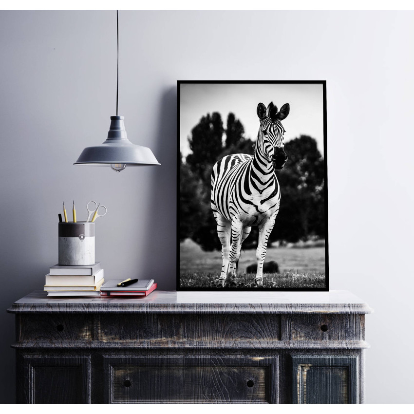 Zebra Running - Poster