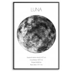 Moon - Simple Poster