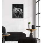 Elephants - Black and White Poster