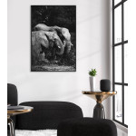 Elephants - Black and White Poster