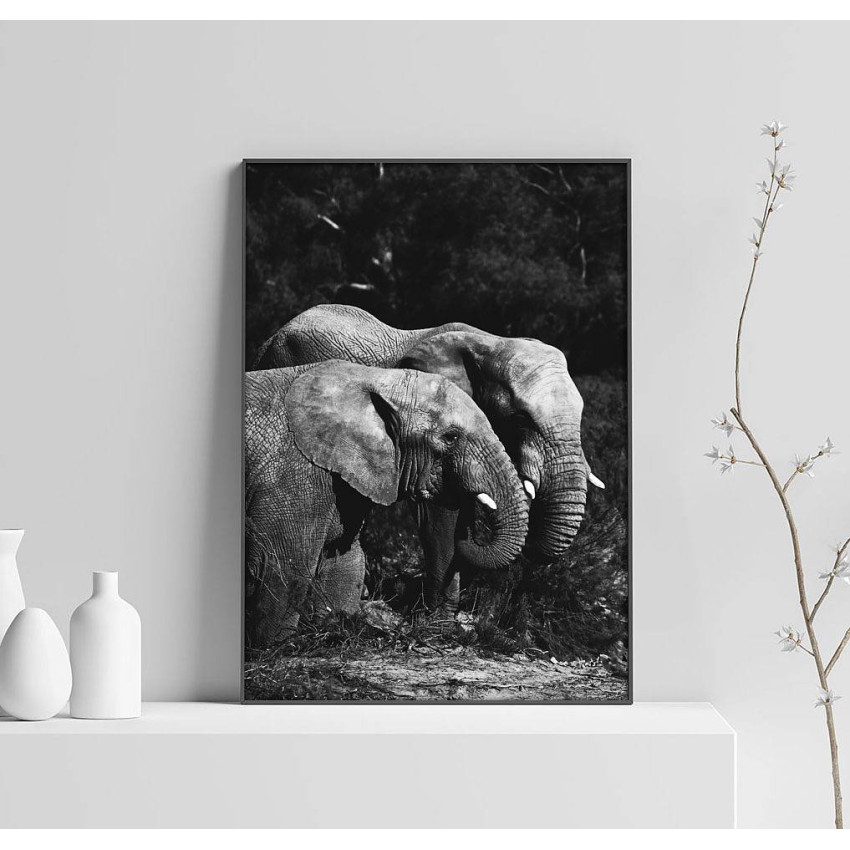 Elephants - Black and White Poster