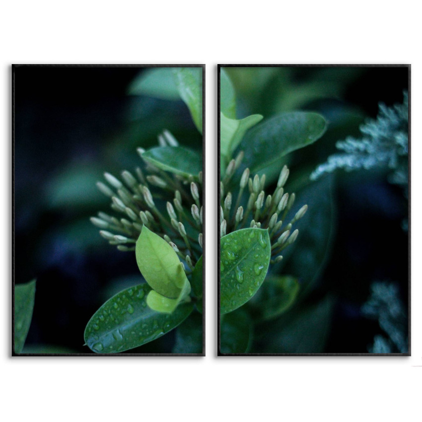 Green Leaves - Two Piece Poster