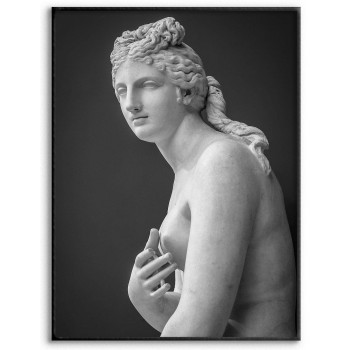 Venus Statue - Black and White Poster