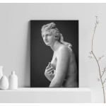 Venus Staty - Svartvit Poster