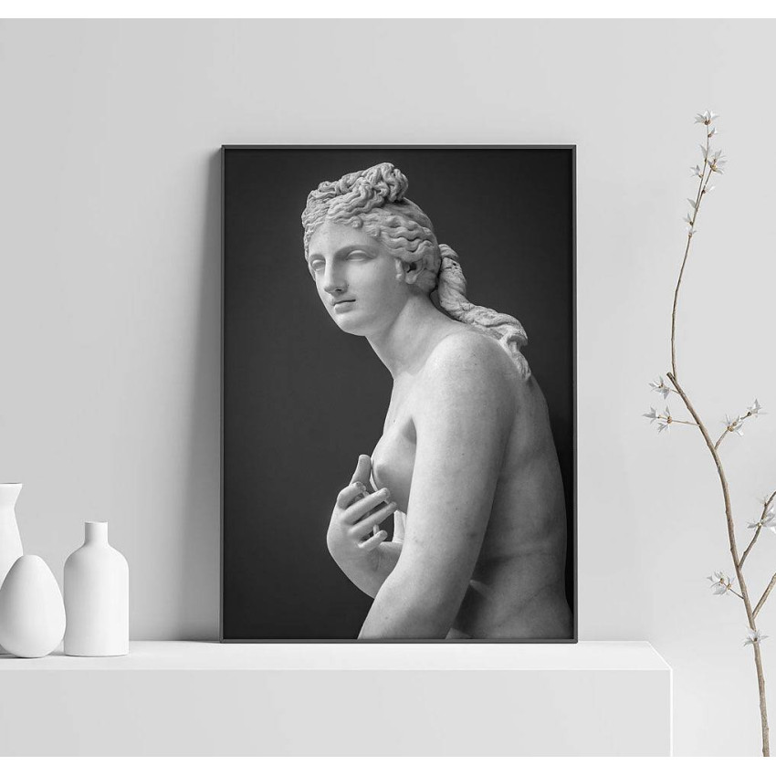 Venus Staty - Svartvit Poster