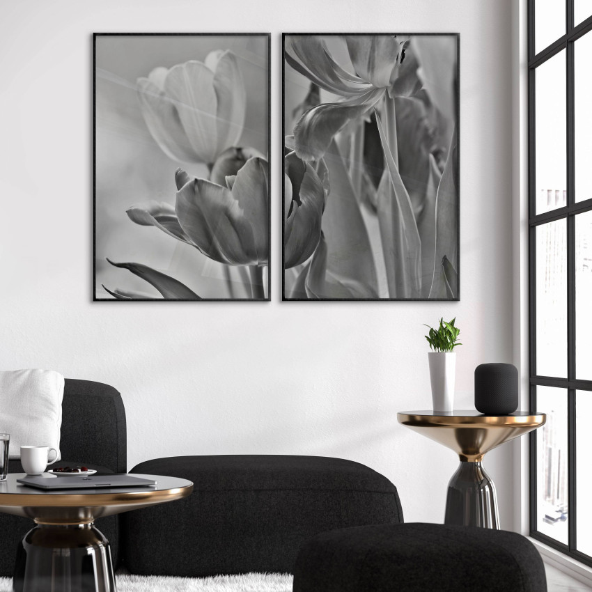 White Tulips - Two Piece Poster