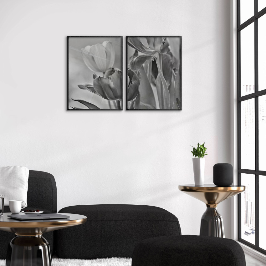 White Tulips - Two Piece Poster