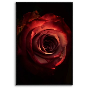 Red Rose - Simple Poster