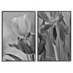 White Tulips - Two Piece Poster