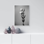 Tulips - Simple Black and White Poster