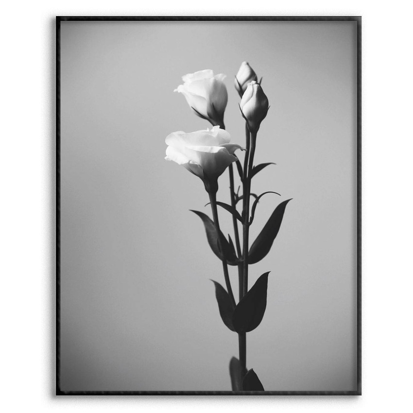 Tulips - Simple Black and White Poster