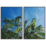 Blue Sky & Green Leaves - Two Piece Poster