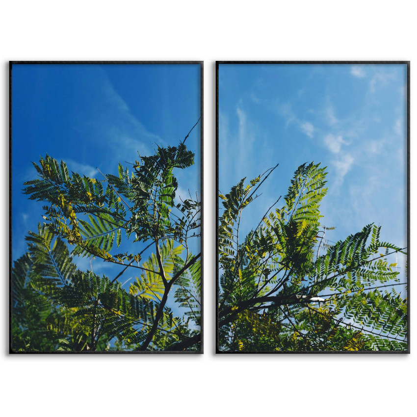 Blue Sky & Green Leaves - Two Piece Poster