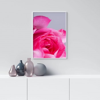 Pink Rose - Simple Botanical Poster