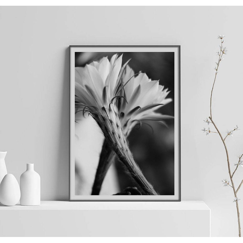 Simple Flower - Black and White Poster