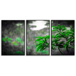Green Leaves Panorama - Three Piece Poster
