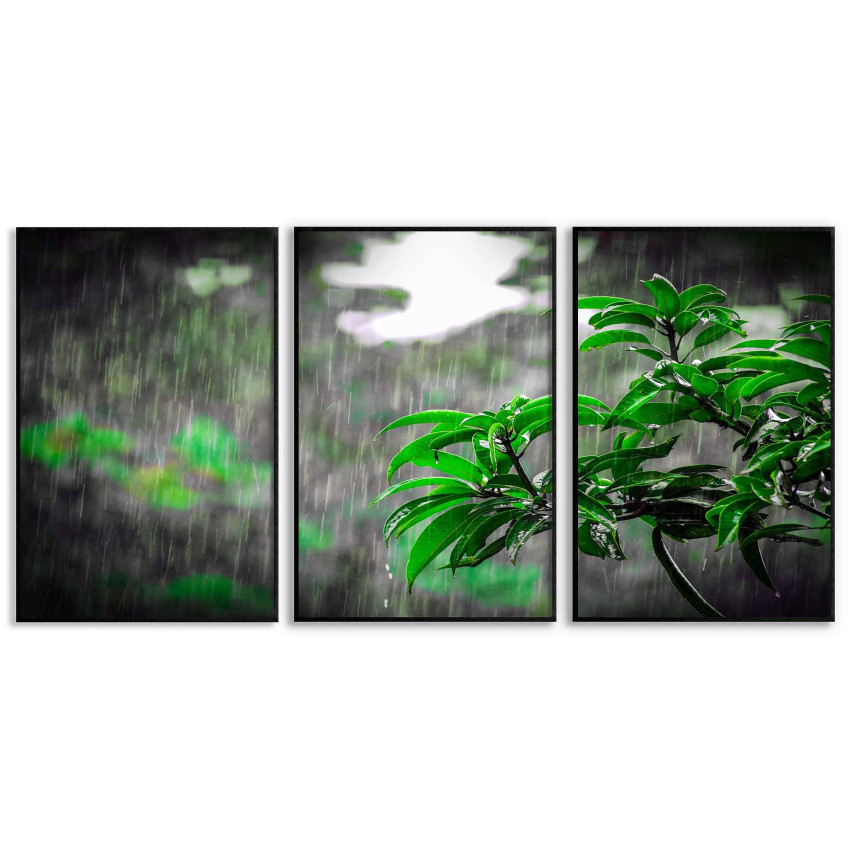 Green Leaves Panorama - Three Piece Poster