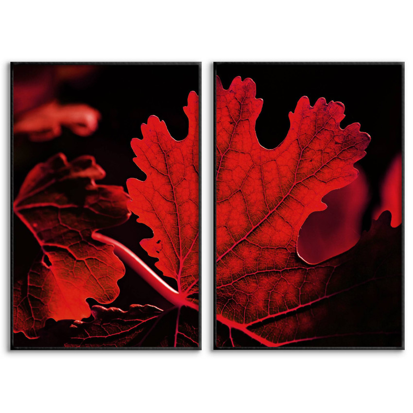 Red Leaves - Two Piece Posters