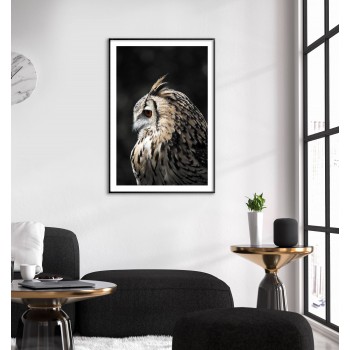 Owl - Cool Poster