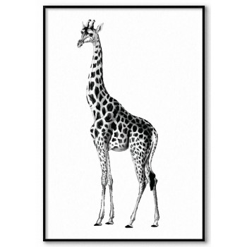 Giraffe - Simple black and white poster 