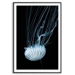 Manet jellyfish - Enkel & stilren poster