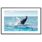 Whale fin - Simple poster Whale fin - Simple poster
