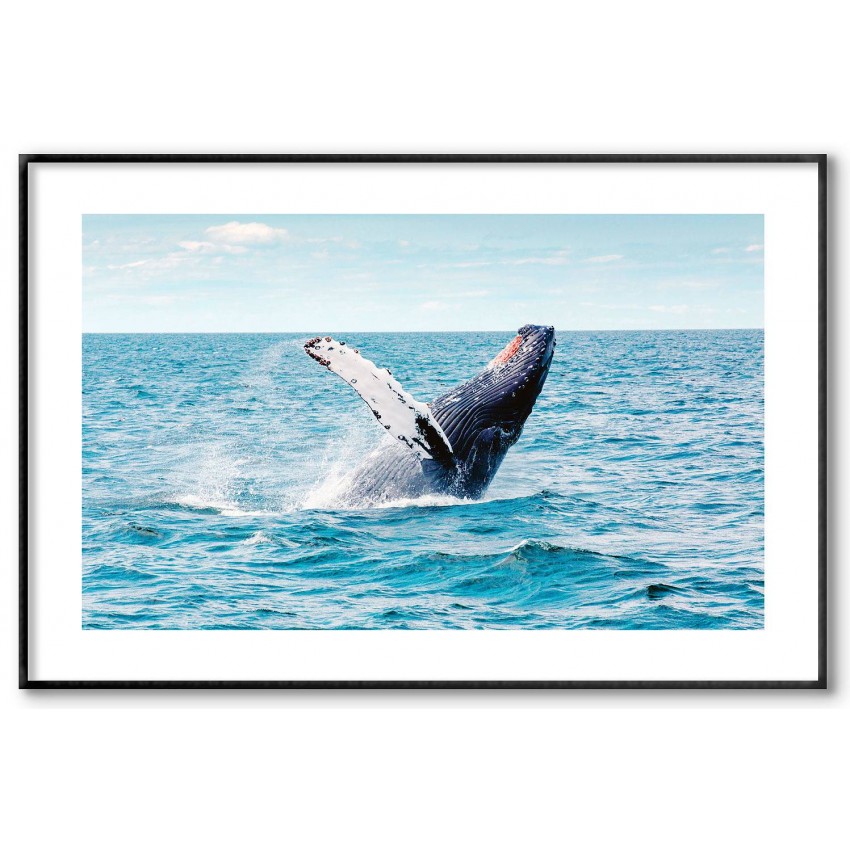 Whale fin - Simple poster Whale fin - Simple poster
